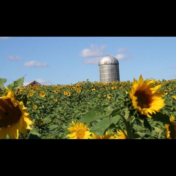 Meet your Posher, Brad - Picture 2 of 8